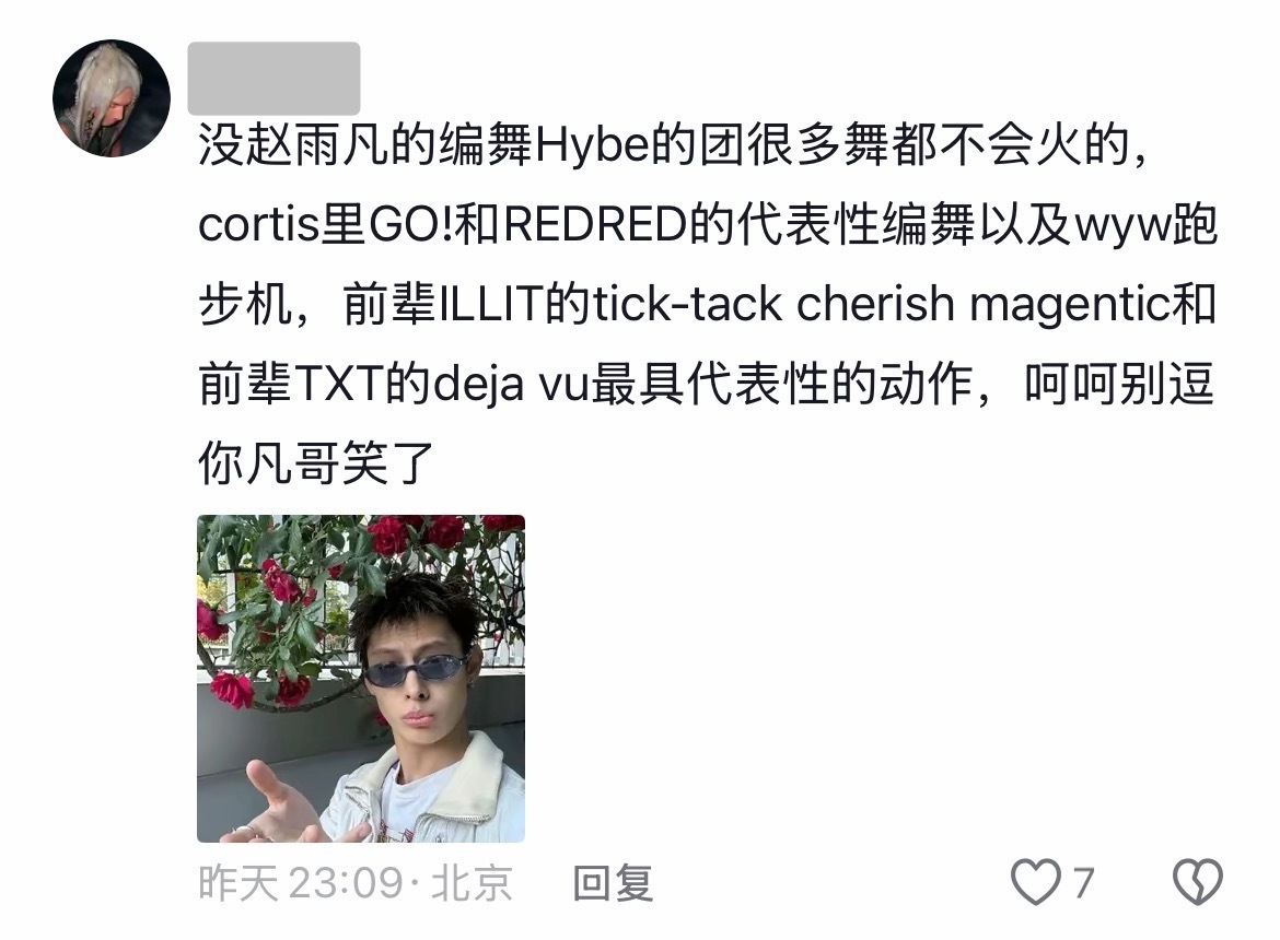 没赵雨凡的编舞 HYBE的团很多舞都不会火的