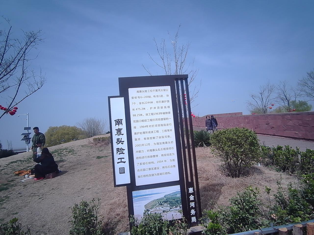 黄河大堤南裹头的垂柳，已是一片翠绿，马年的小阳春已经不远了！