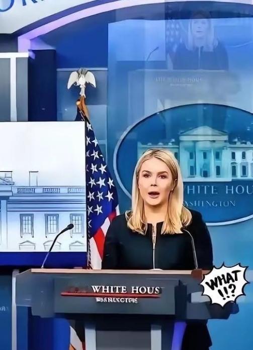 美国被中国再度拒绝了，美国官员很沮丧！ 白宫负责AI与加密货币事务的官员萨克斯曾