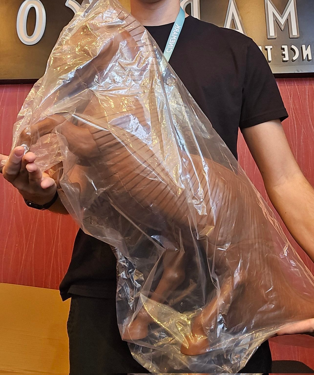 《奥德赛》出这么大的特洛伊木马爆米花桶，好想买！！！ 