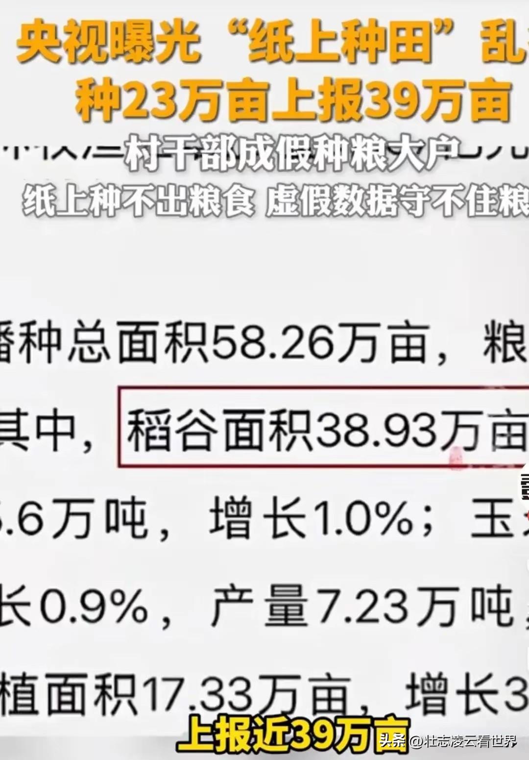 明明是央视点名通报的弄虚作假事件，全网舆论却罕见没有一边倒批判。
本该被全网追责