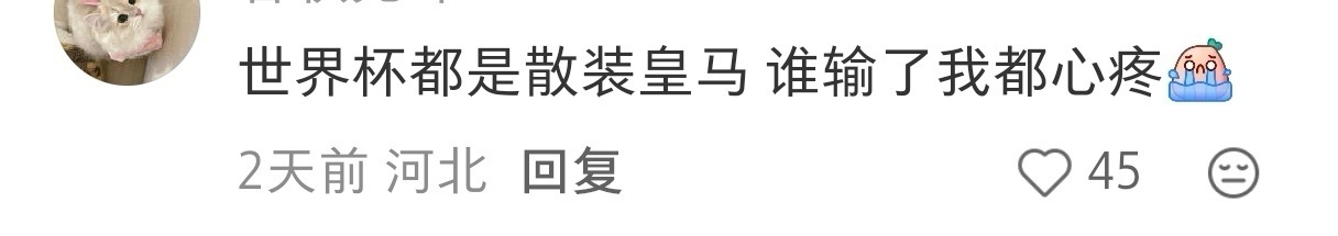 葡萄牙vs克罗地亚是的