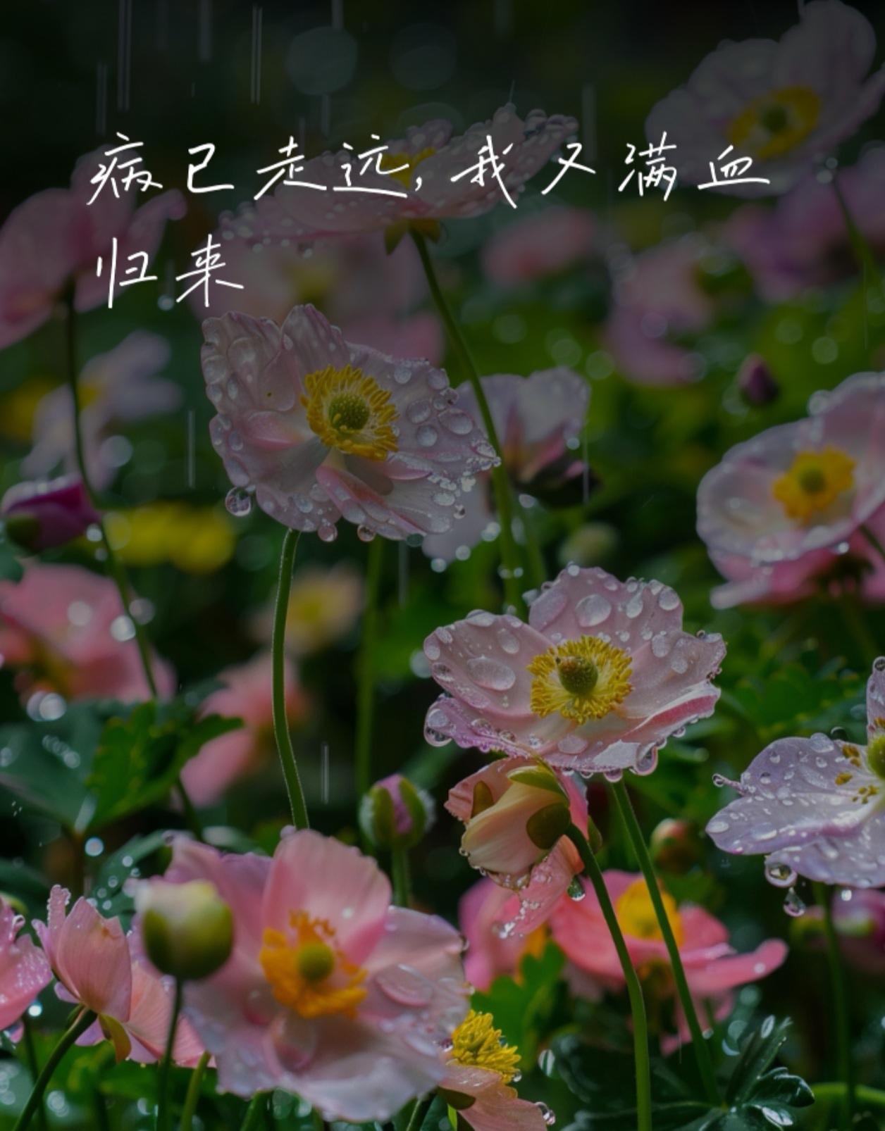 身体快点康复。