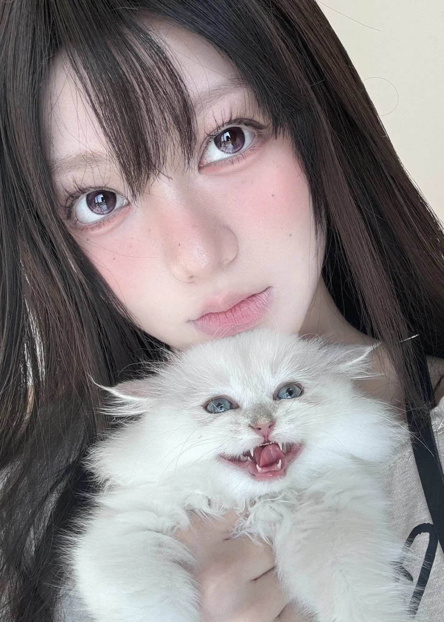 小咪？