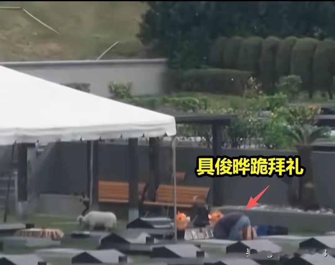 在网上刷到的具俊晔陪伴亡妻的一些镜头。以前爆出的都是具俊晔夏天陪伴亡妻穿着短袖。