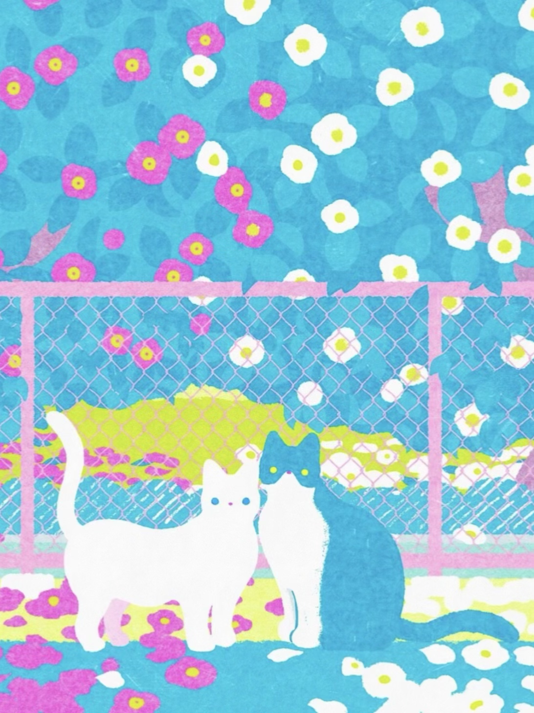夏日企画壁纸 🐈｜宮下和🫧INS｜miyashitanodoka 