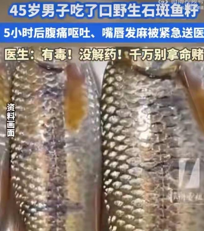 真是拿命在尝鲜啊！杭州一个45岁的壮汉，就为了吃一口"野味"，差点把自己送走。他