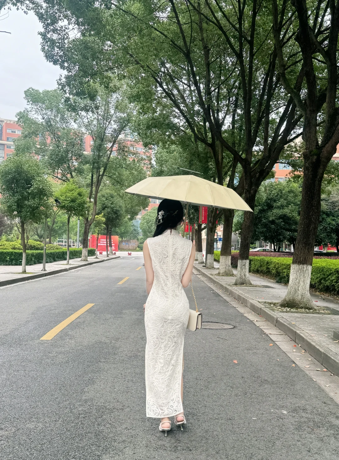 “那个穿旗袍的学姐”