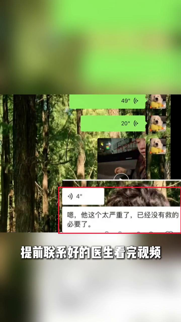 怎么会？眼、眼球都是血。你永远想不到有人嘴上说着喜欢小猫，下手到底有多恶毒。一只