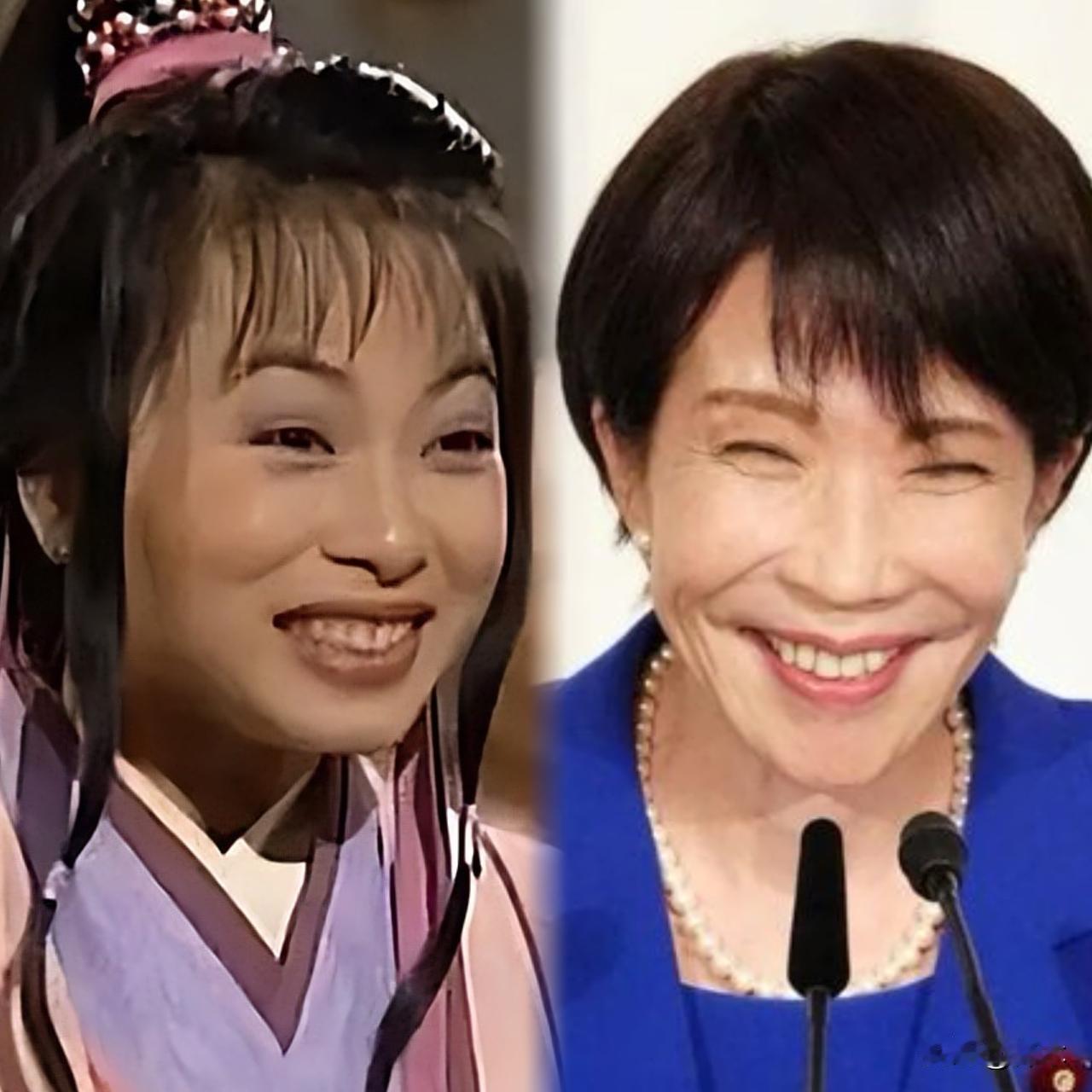 突然发现高市小姐和星宿派阿紫坏的有异曲同工之妙，阿紫身后有深情跟随喜欢受虐的游坦