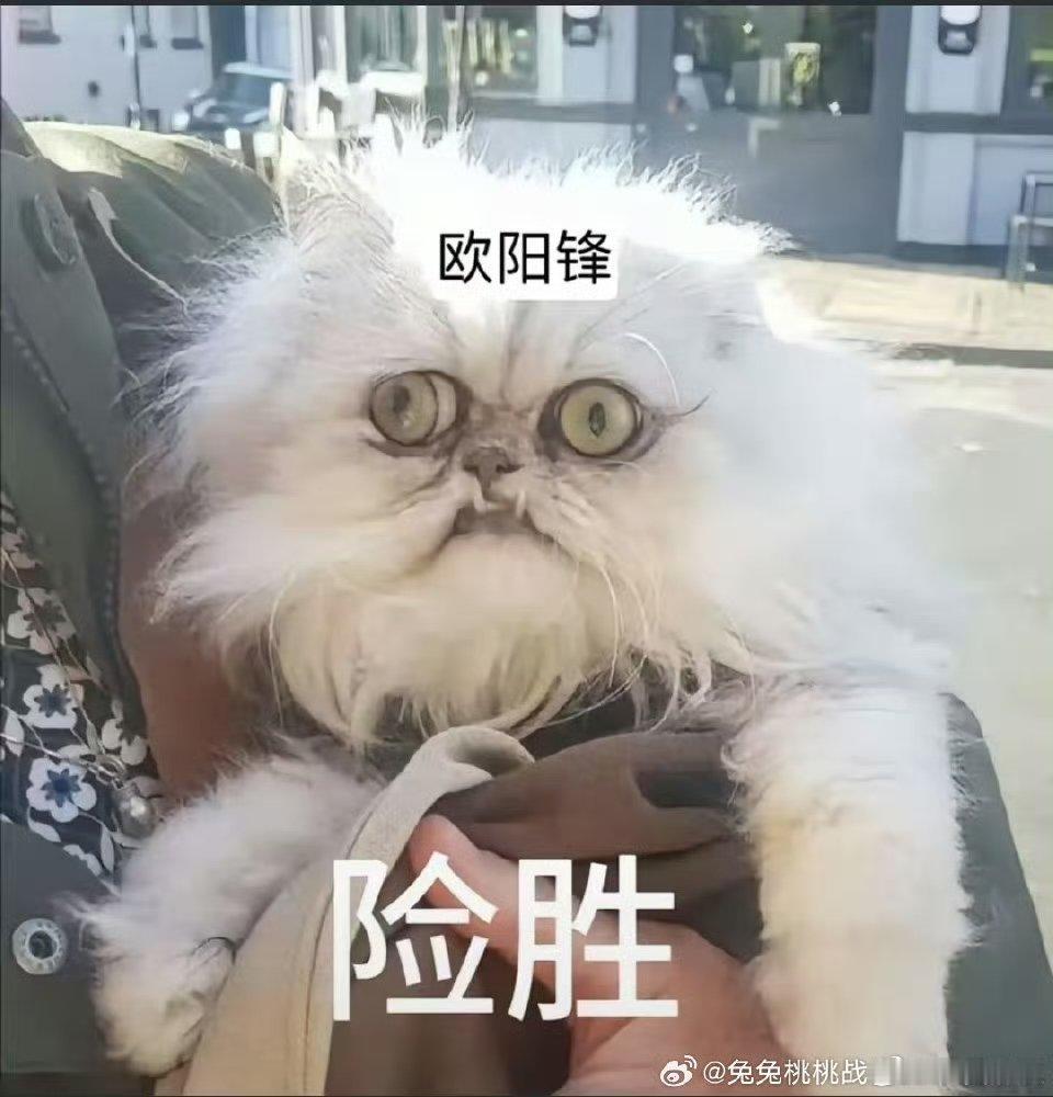 欧阳锋 险胜  看了射雕英雄传这部电影之后，我真的是很喜欢欧阳锋这个角色的呀，其