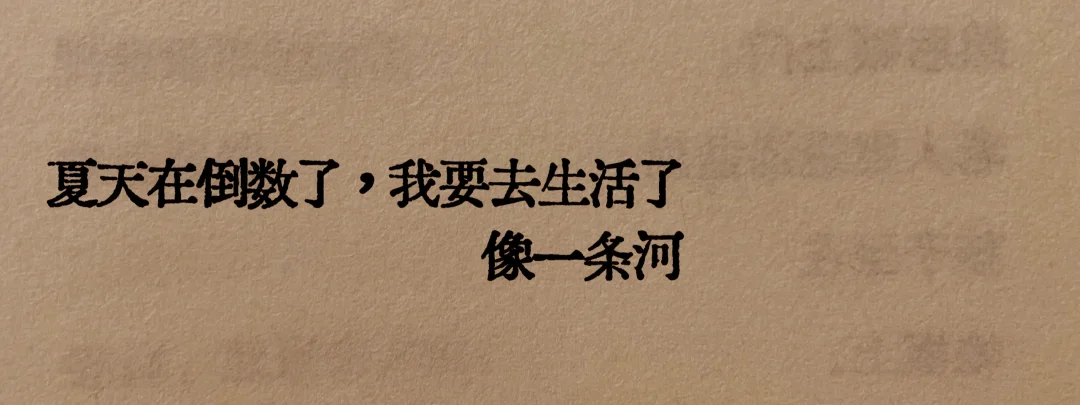 最近读到的一句话，很喜欢