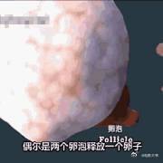 #女性一生只能排出300多个卵子#当女性还是腹中胎儿时，体内的原始卵泡数量达到7