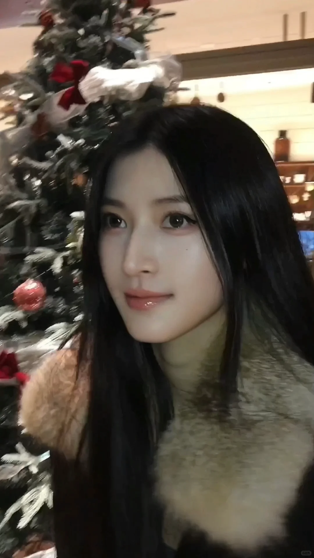 p2狗狗们这么有镜头感哒？