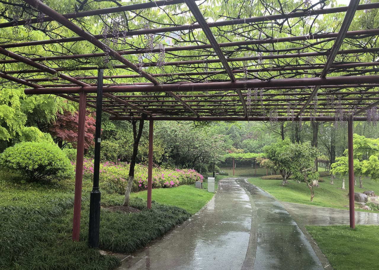 五律·雨中漫步
风发雨和声，寻春曲径行。
新篁含翠滴，老树带花明。
意约云踪近，