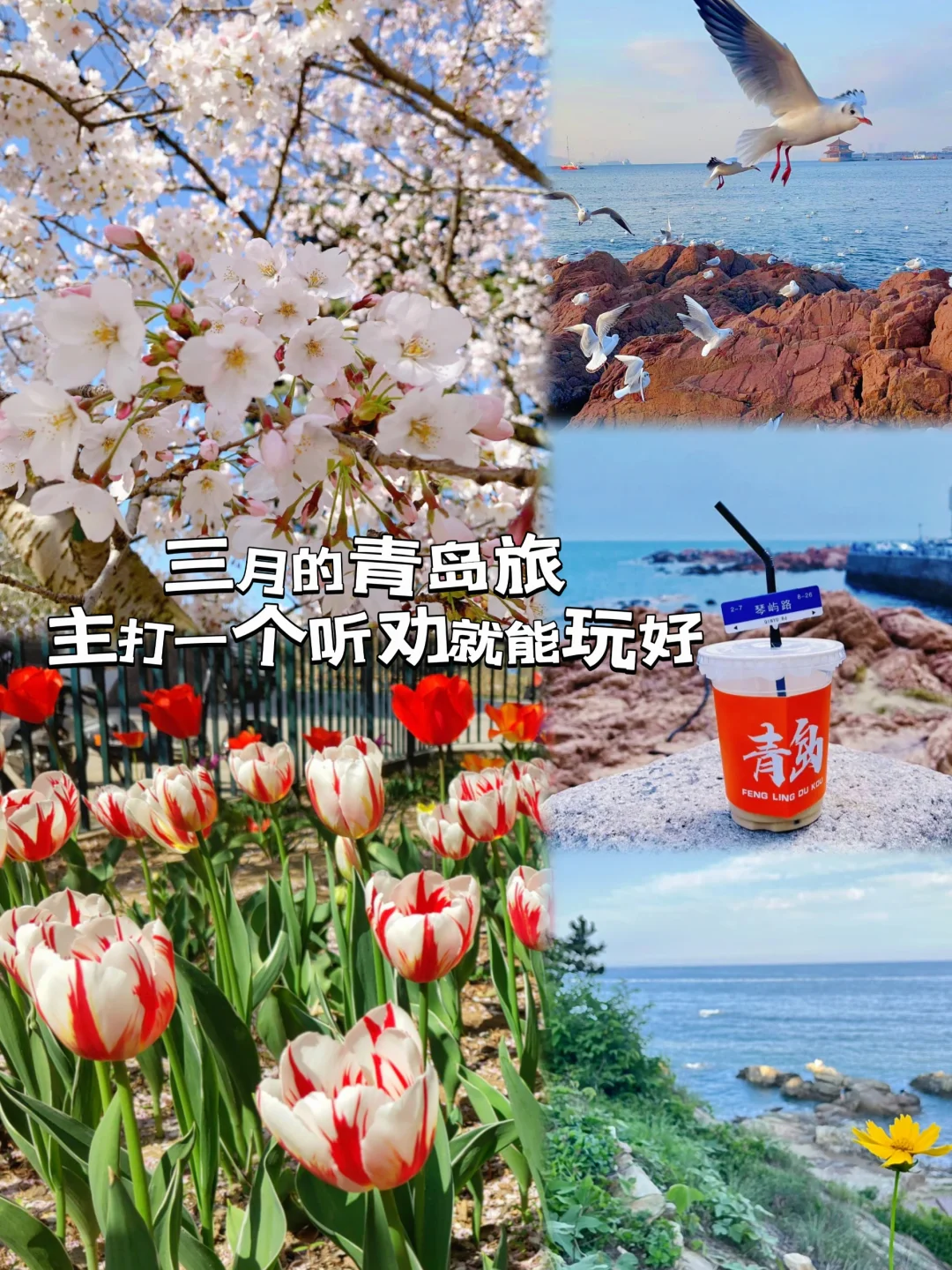 三月的青岛太美了，主打一个听劝就能玩好