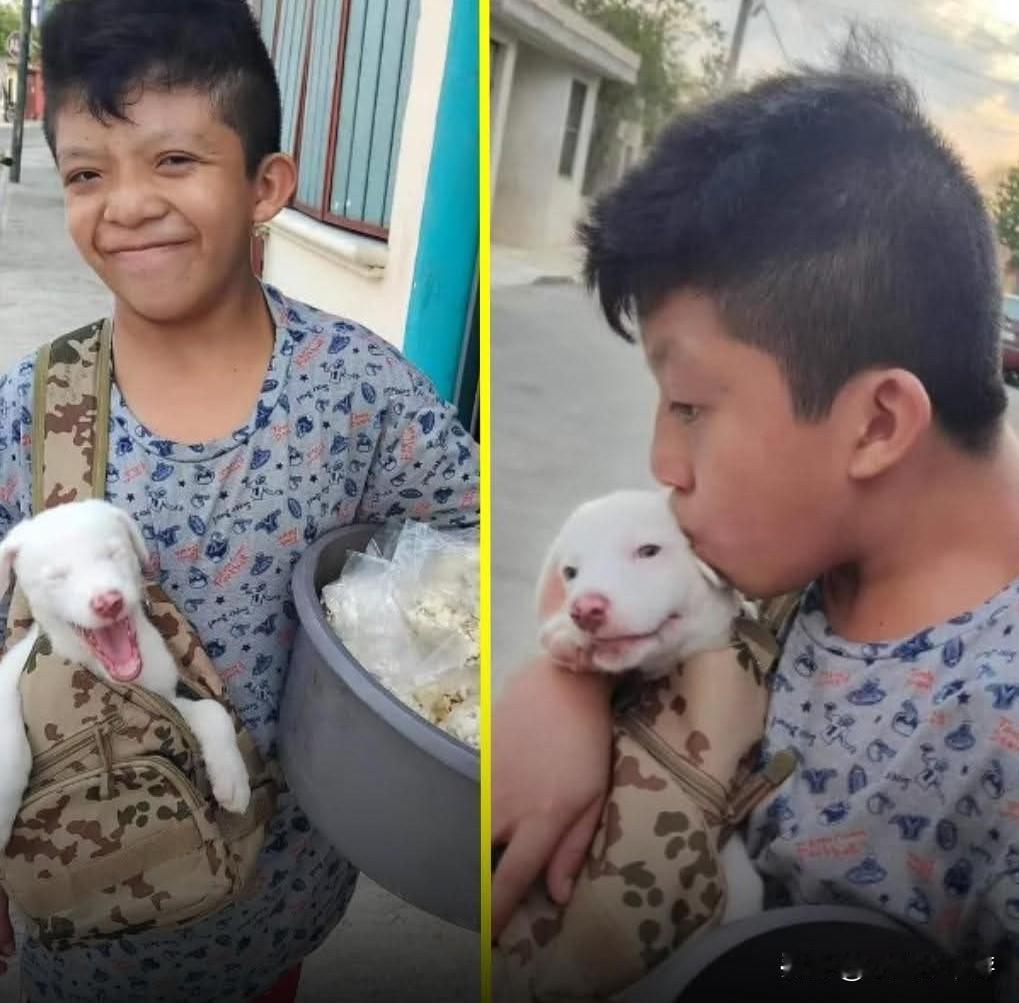 在墨西哥尤卡坦的街头，一位名叫Lalo Eduardo的小男孩感动了无数人心。他