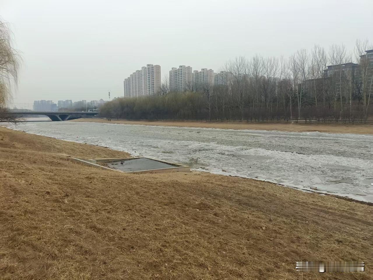 梁东方
 
读书并非苦役，也不是什么难关；这里的读书不是为了应付考试和并不真正感