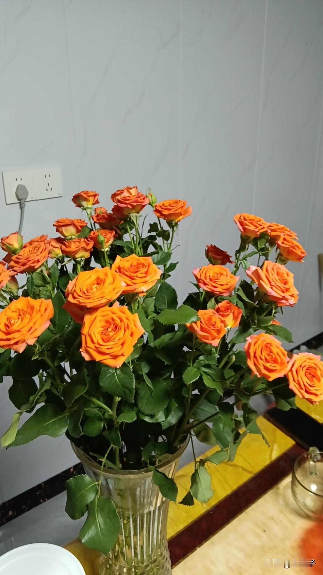 你会说什么愿你：提笔从容自信，合笔如愿以偿，高考加油！
 
愿你走进考场时心定气