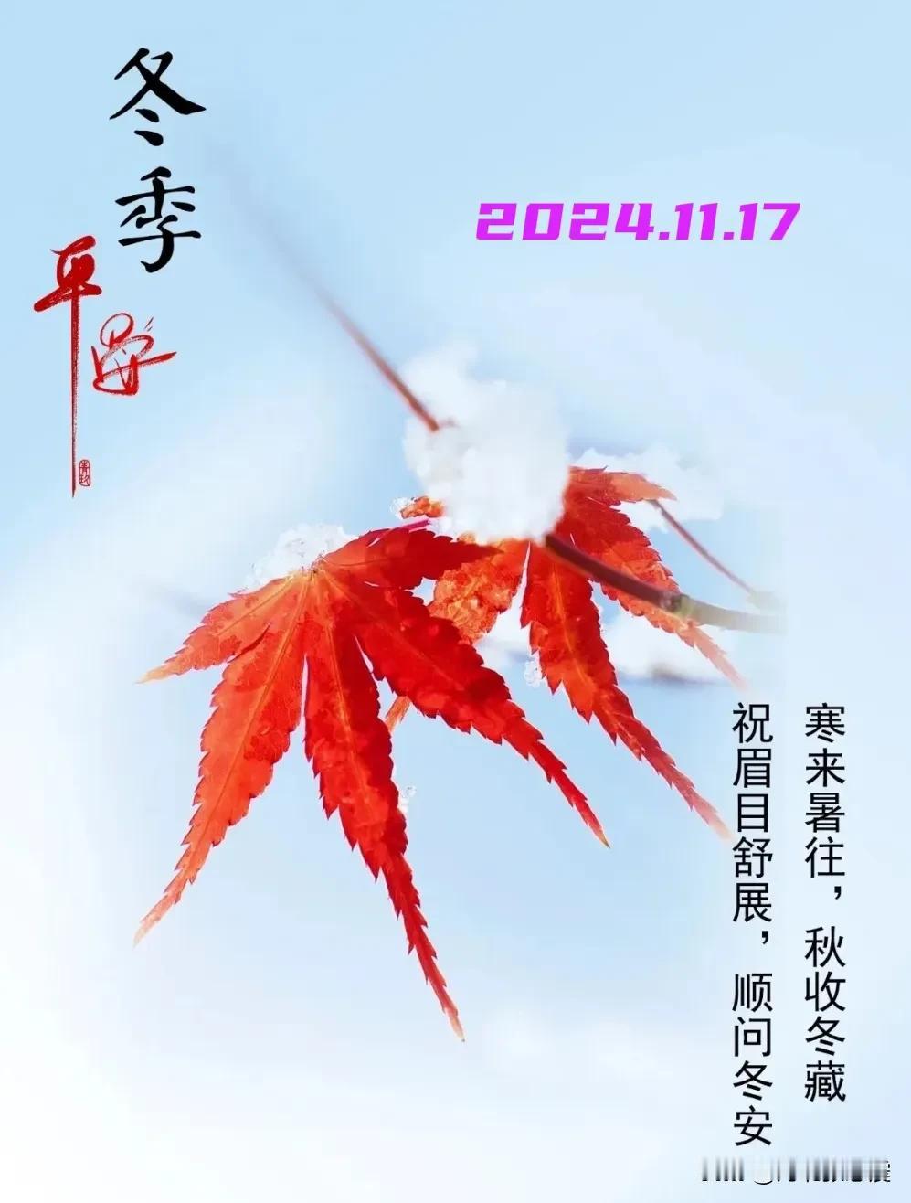 2024.11.17  农历甲辰年十月十七，周日【🌹每日心语】
时光荏苒，季节