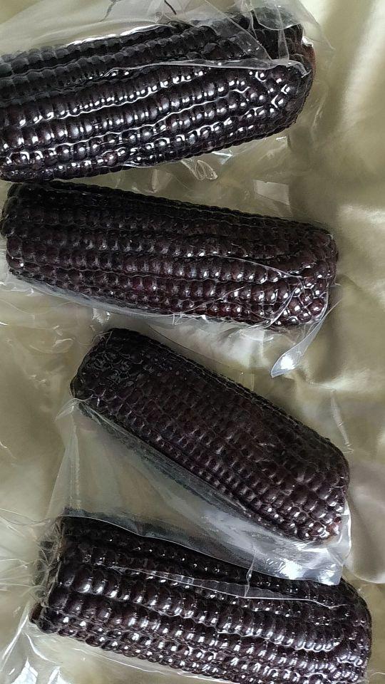 昨天收到货放饭锅里蒸一下，第一口就感觉软软糯糯，口感特别好，一下子就把一个玉米吃