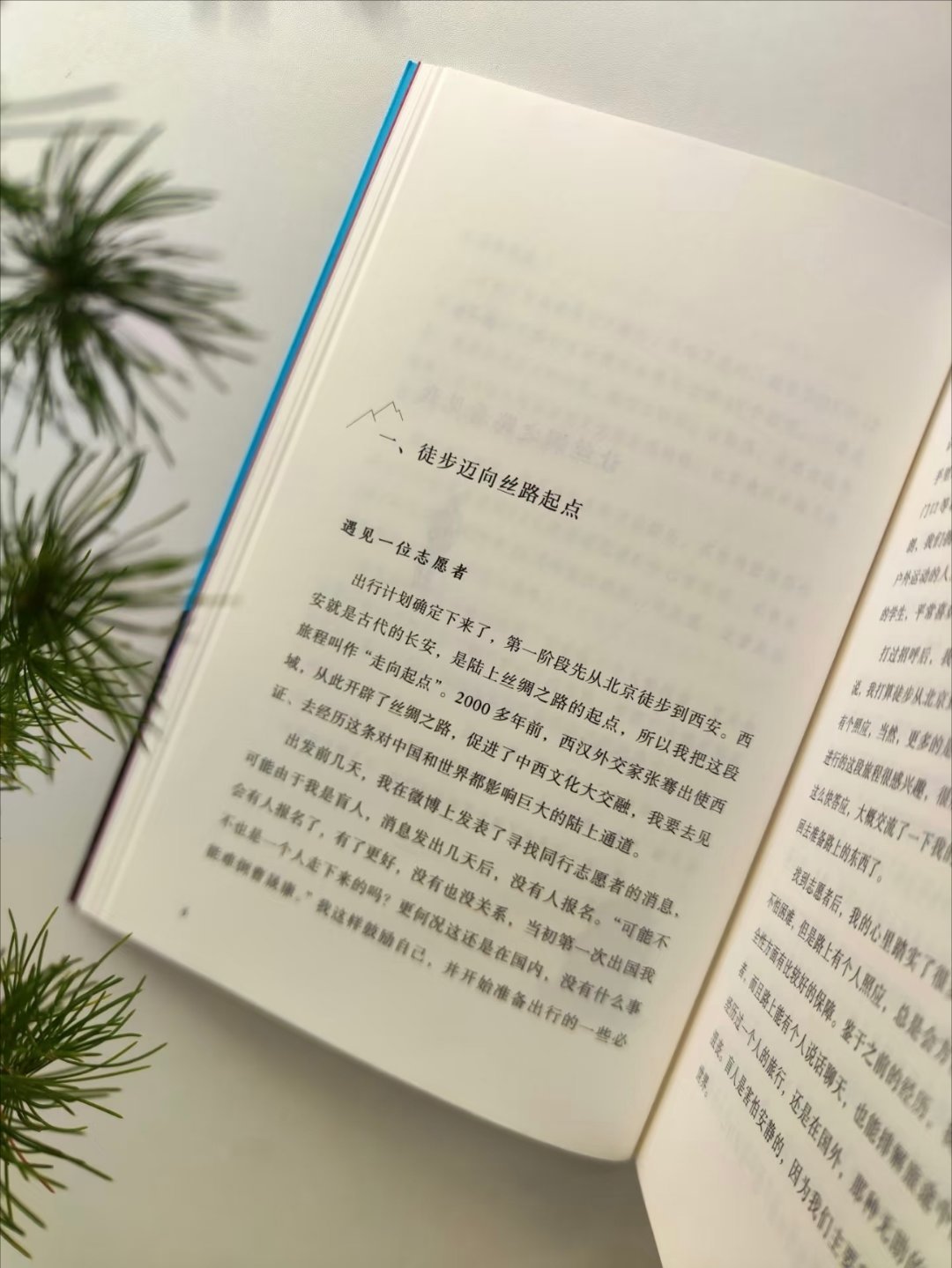 我看不见风景，但我本身就是风景 