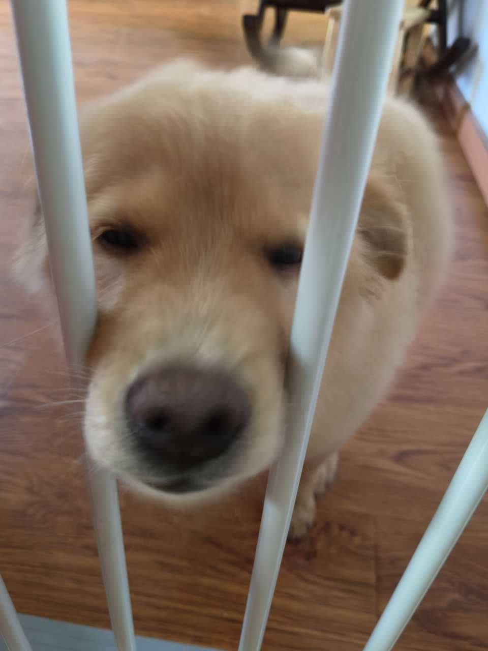 嘴筒子。 