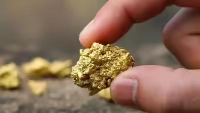 美国智库：委内瑞拉的黄金矿产

1956 年 12 月 25 日，《纽约时报》宣