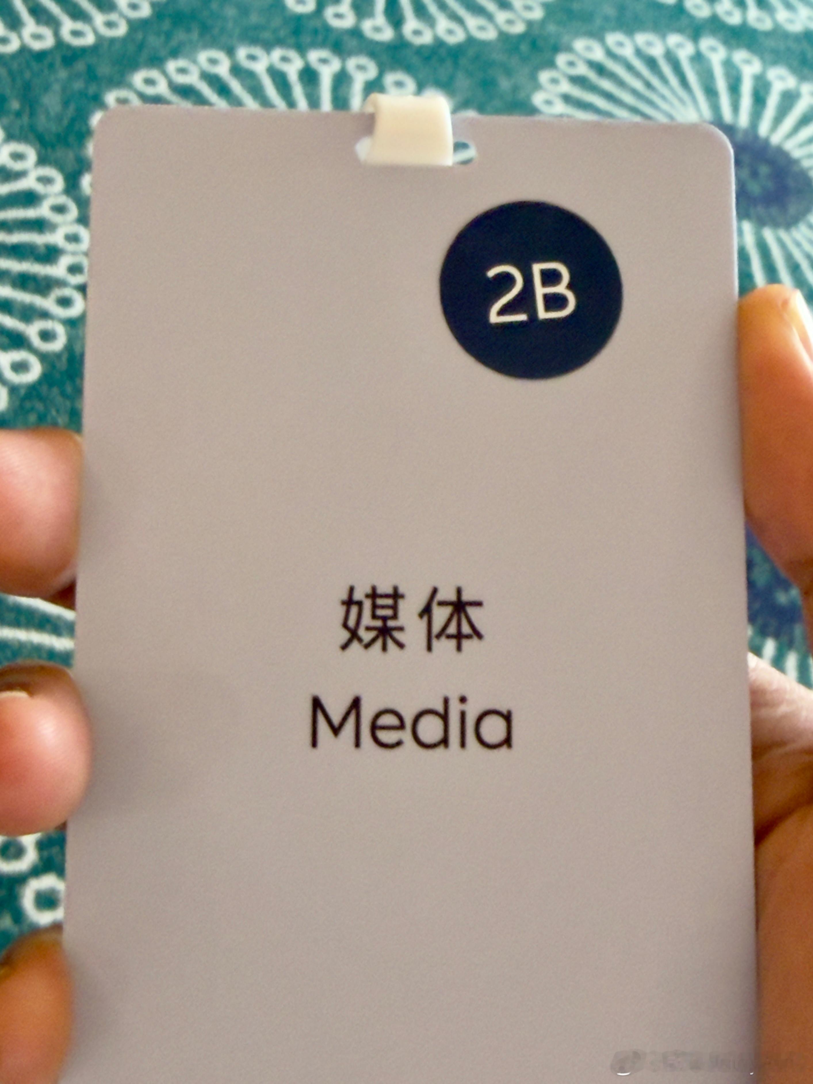这个组别 有点东西 