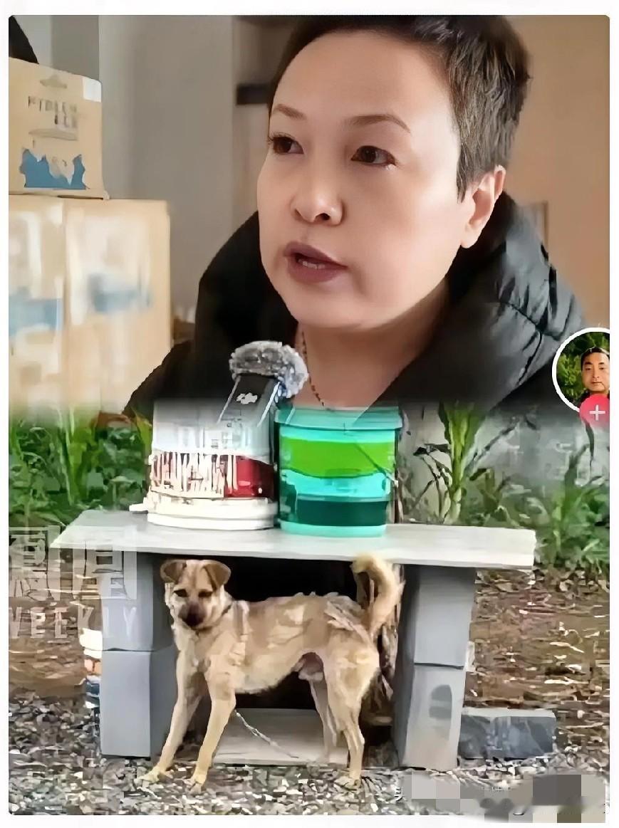 不查不知道，一查吓一跳！

难道是他亲妹妹郭女士:

有人猜长治狗咬人案的✂️真