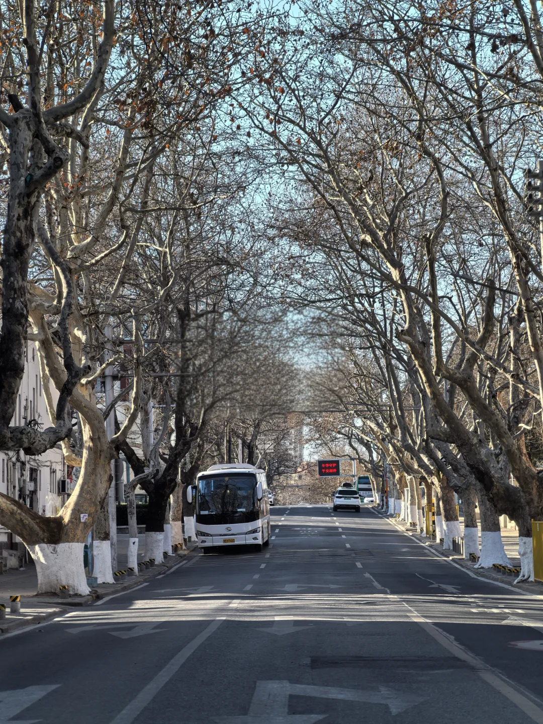 老城街上暂时没有树叶