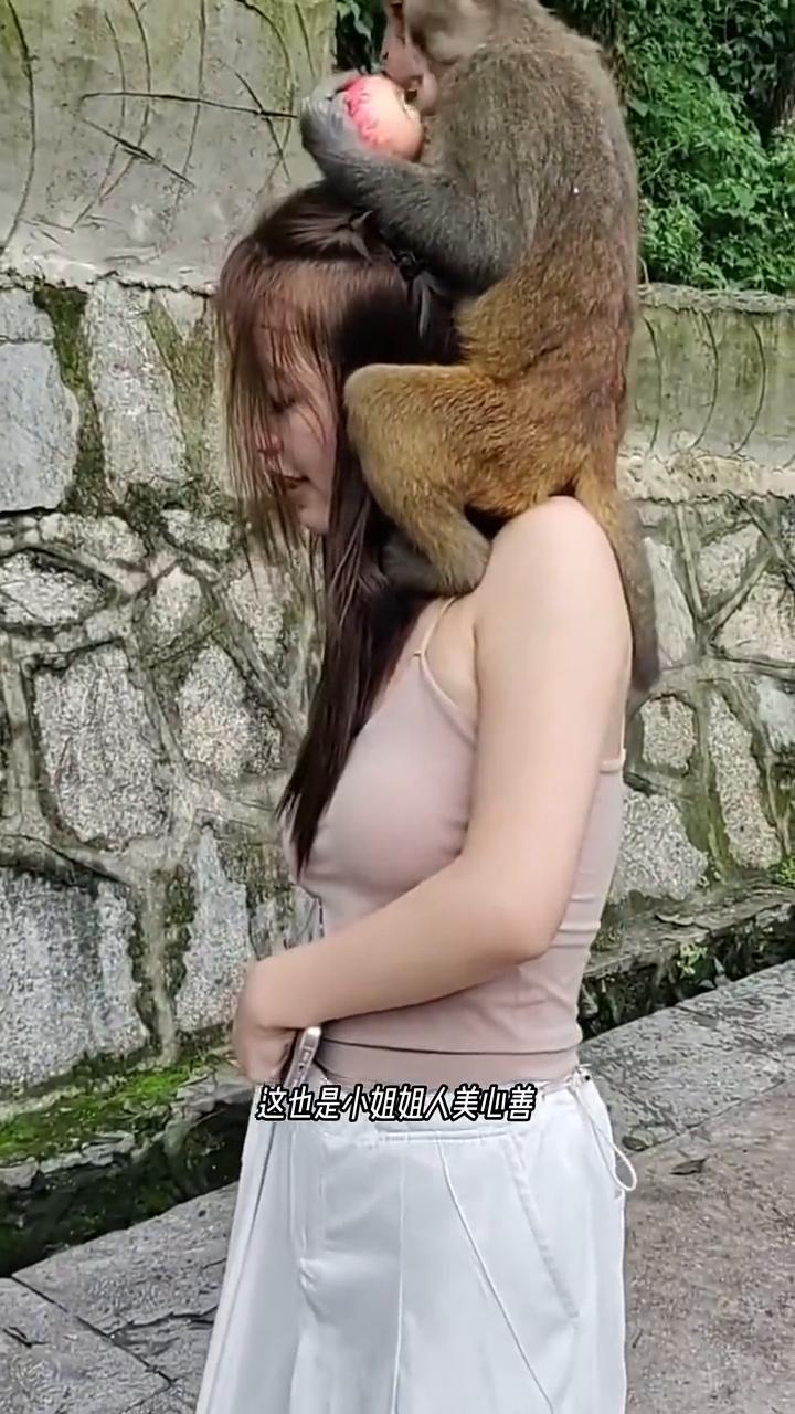 猴哥为什么喜欢小姐姐？
你看我猴哥多爱折腾，明明小姐姐手里没有食物，它还是想上去
