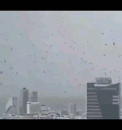 在以色列特拉维夫上空和街头出现大量乌鸦，遮天蔽日，许多人认为这是 “末日的预兆”