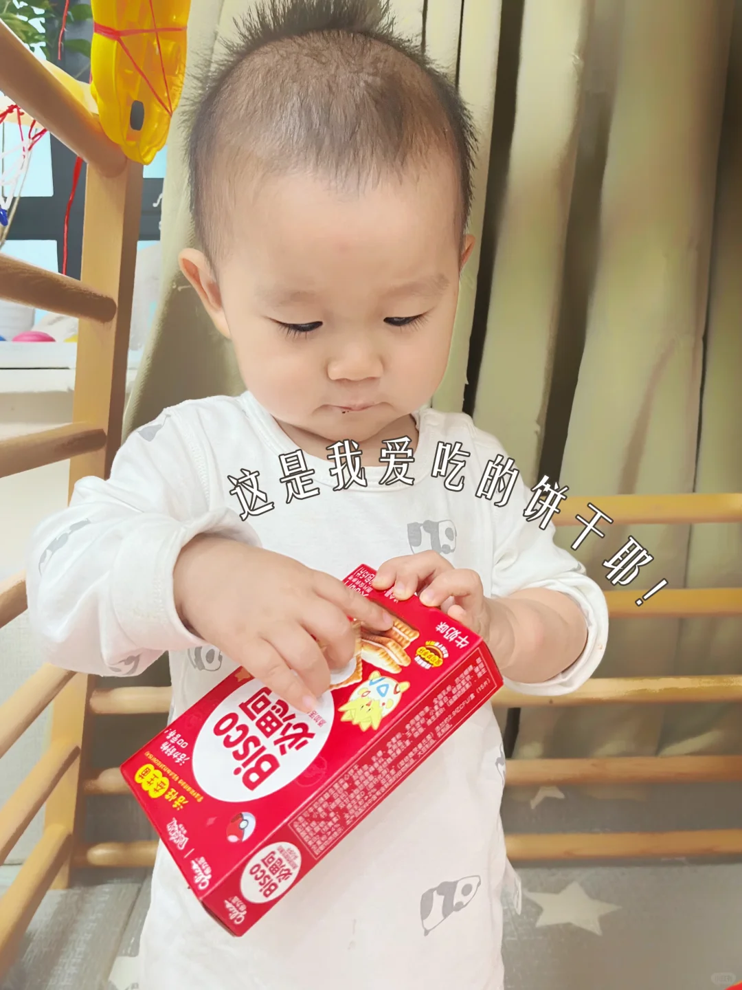 竟然有添加活的益生菌的健康小饼干