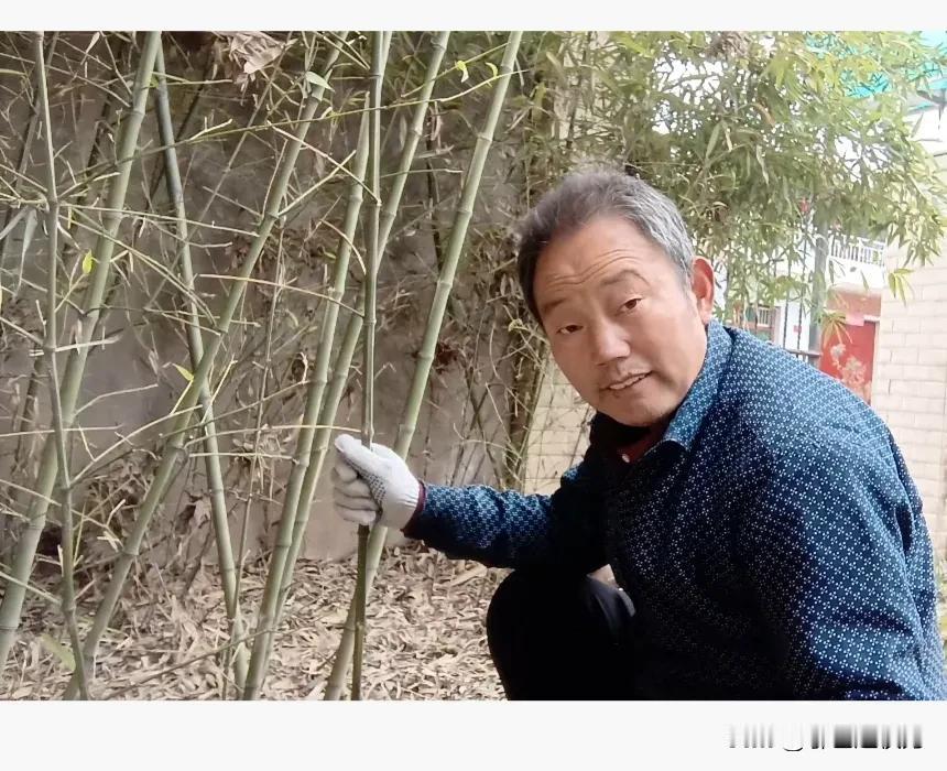 咏竹
     赵权力
翠筠拔地根连根
兄弟姐妹情更深
风摧雨虐三更夜
守心报节