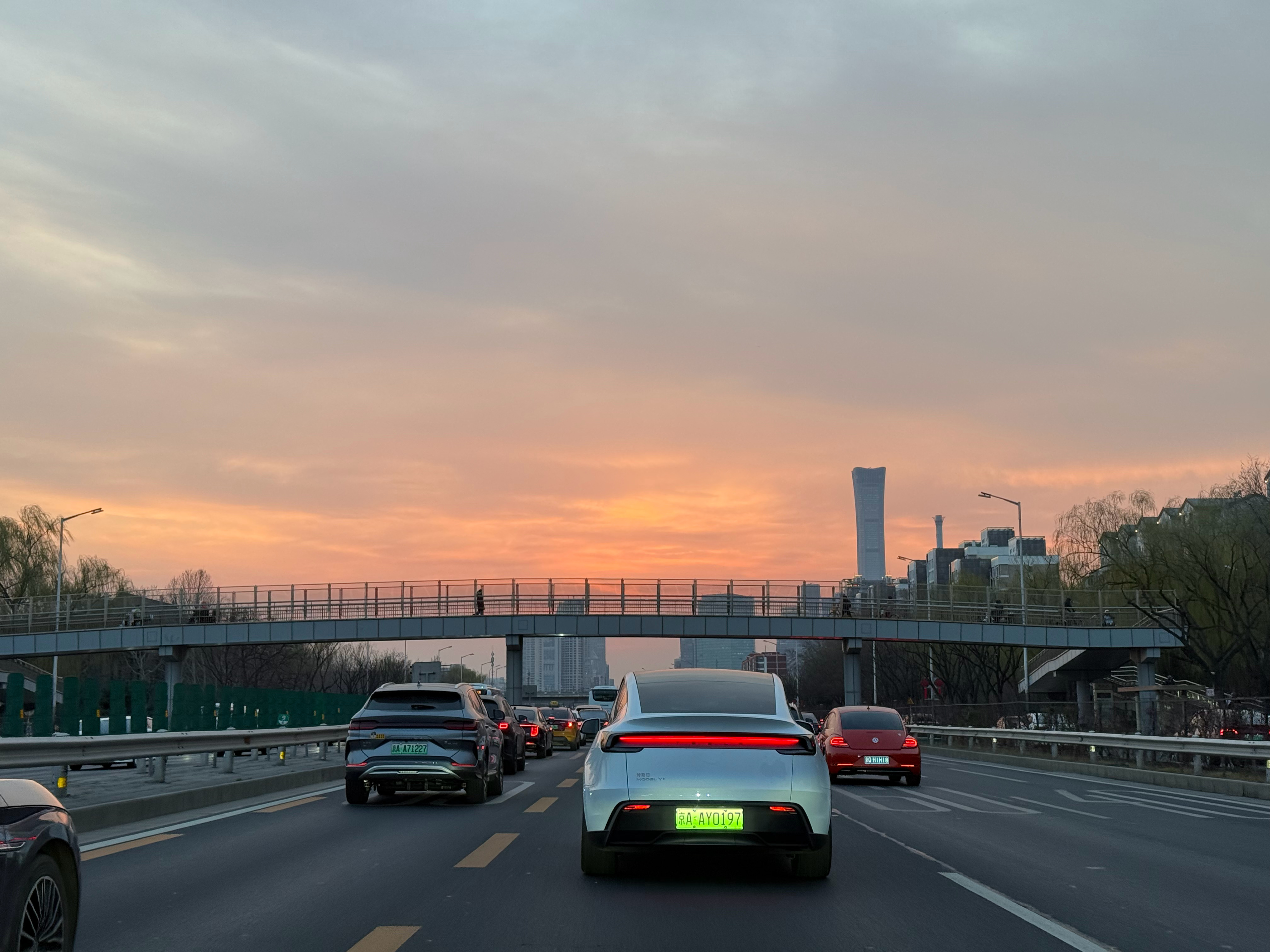 感受到春天的温暖了 