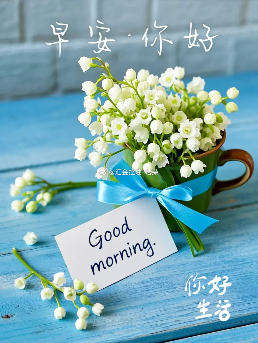 周一 雾散雨停，人生总有光。山有顶，海有岸，时运自会来。新一周，加油！早安