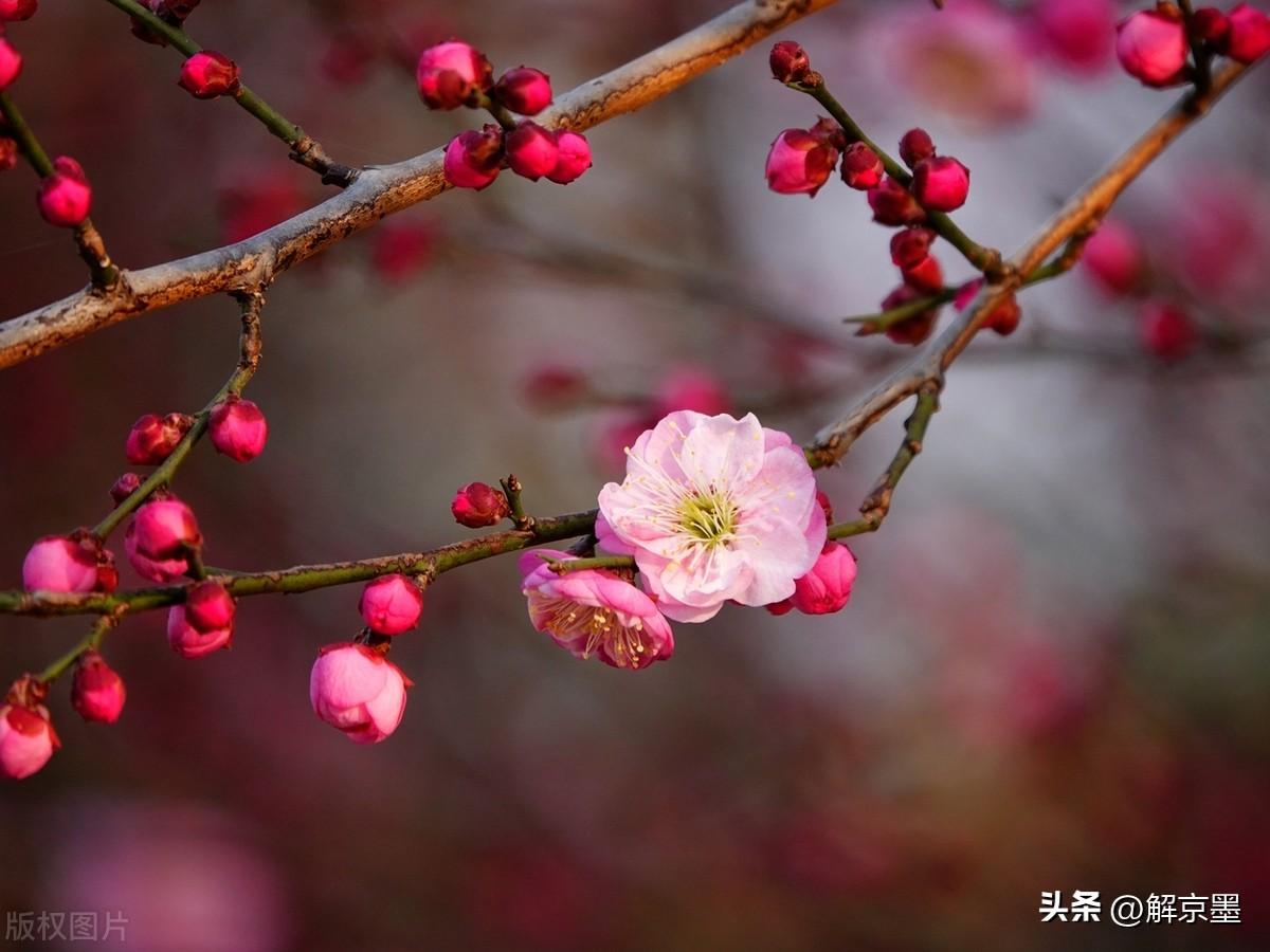 感受被同样感受，就是最好的治疗。人生很短，一个转身，冬天成了故事；一次回眸，春天