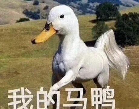 我的马鸭～～～冷门股补涨也是一道风景线！a股 ​​​