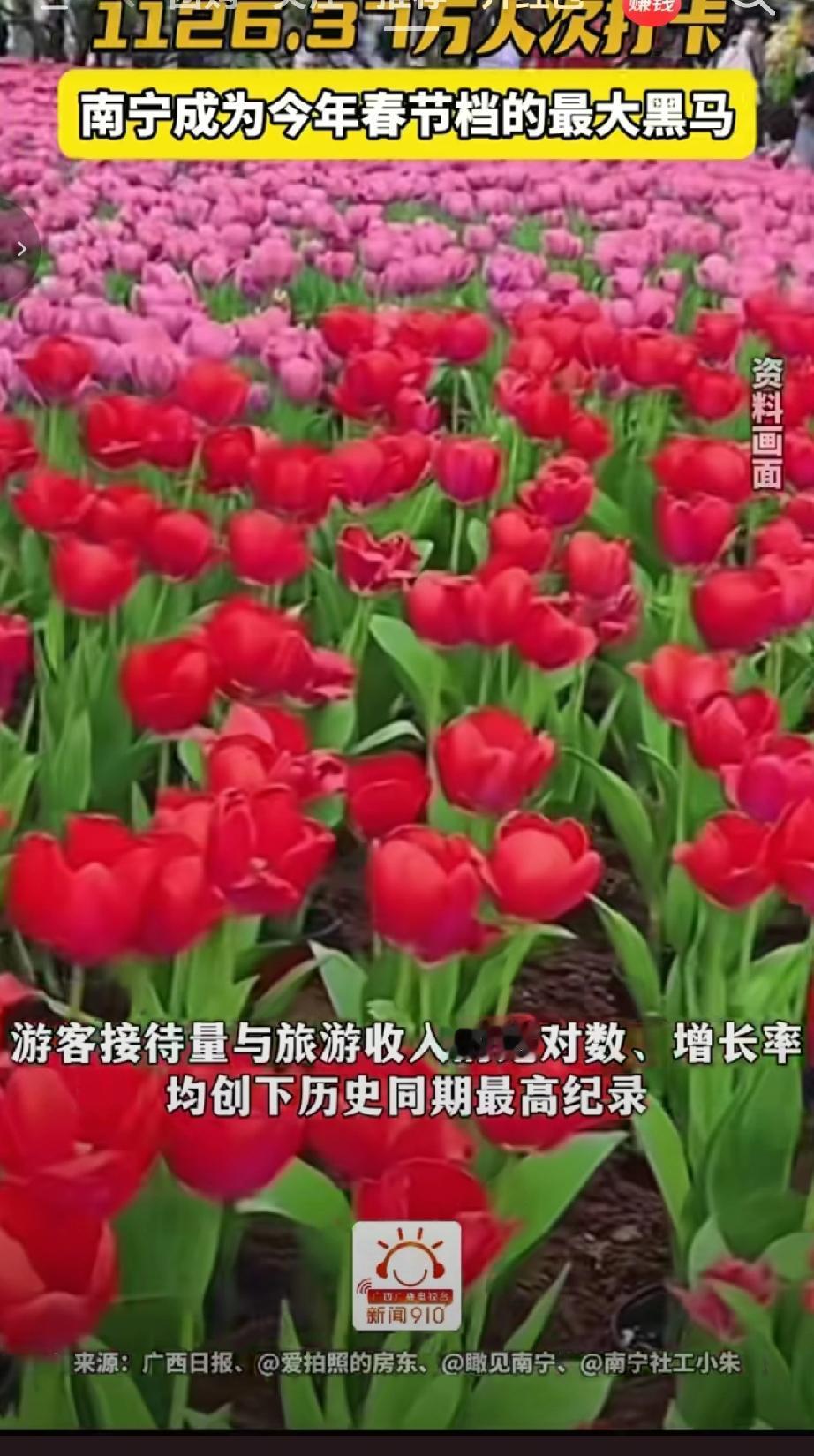 2026年马年春节档南宁文旅迎来爆发式增长，暖冬花开的气候成为避寒过年优选，青秀