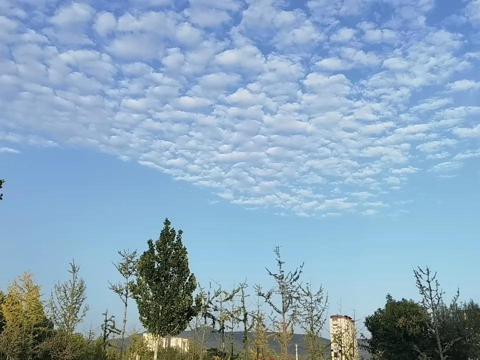 秋云，一点意思也没有。
天气预报说，接下来几天，陆续下雨🌧