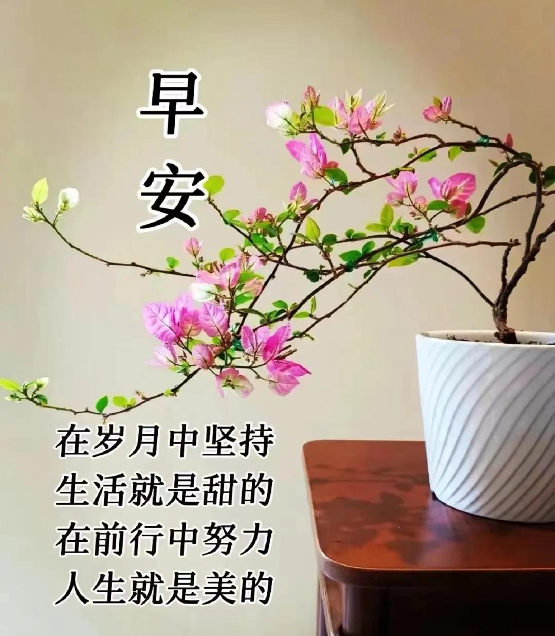 好的緣分讓我們相遇，
同時蹬上時光的列車，
秋天的晨光送去問候，
它傳遞著溫馨與