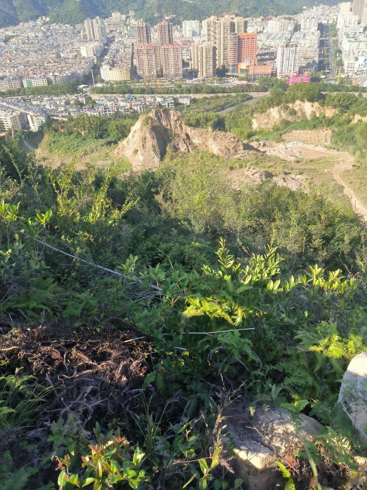 👣🌍用脚丈量世界每一次踏出脚步，都是与大地最真诚的对话👣。山川湖海，城市的