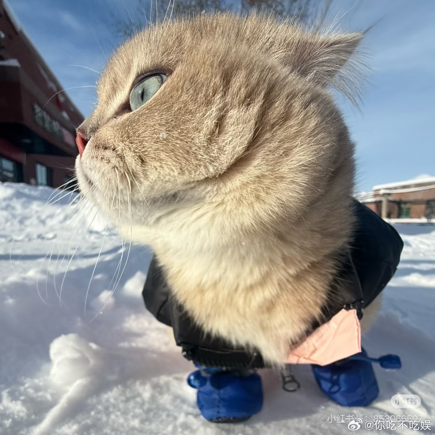 𝐖𝐞𝐂𝐡𝐚𝐭头像                          