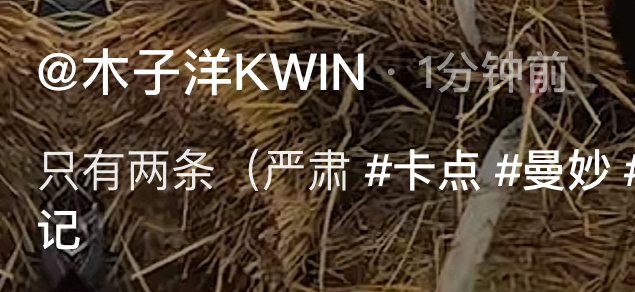 这个（严肃 好萌 