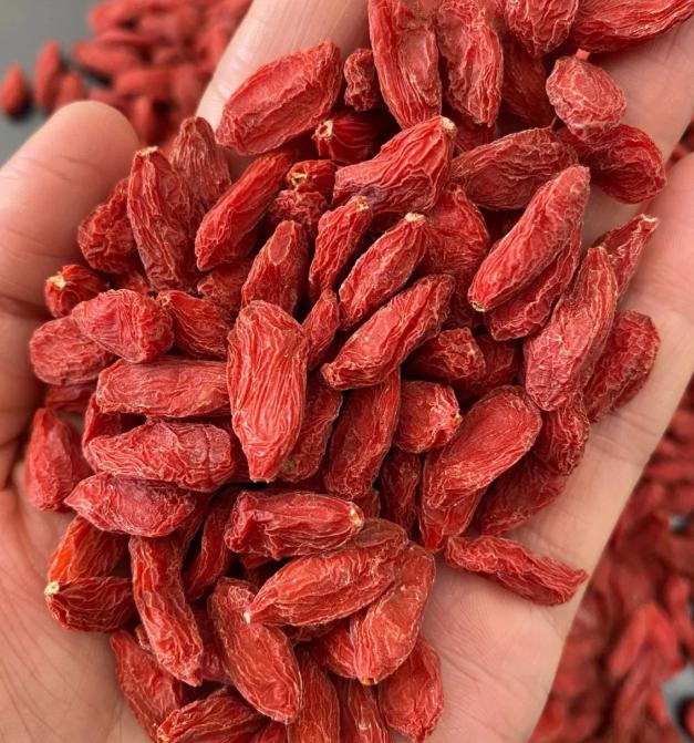 冬天把 “枸杞子” 用活了，不仅肾精足了，阳气升了，气血通了，腰脊强了，全身越来