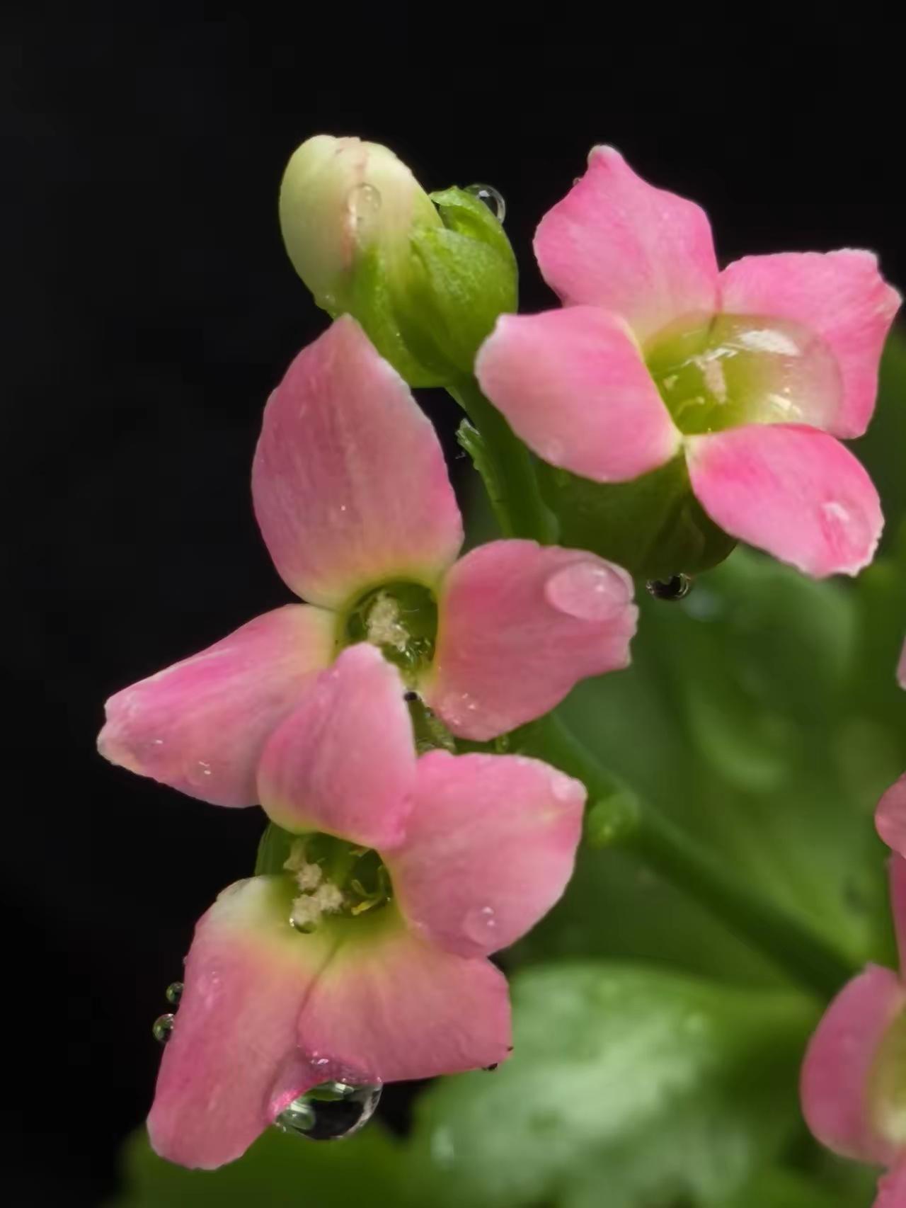 爱情密码
 
真正的爱情，从不是轰轰烈烈的誓言，而是藏在烟火里，最简单的密码。