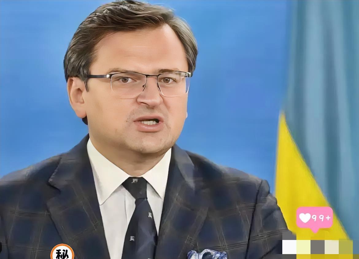 外长破防直言了
乌克兰前外交部部长库列巴表示，如果乌克兰不与俄罗斯达成和解，整个