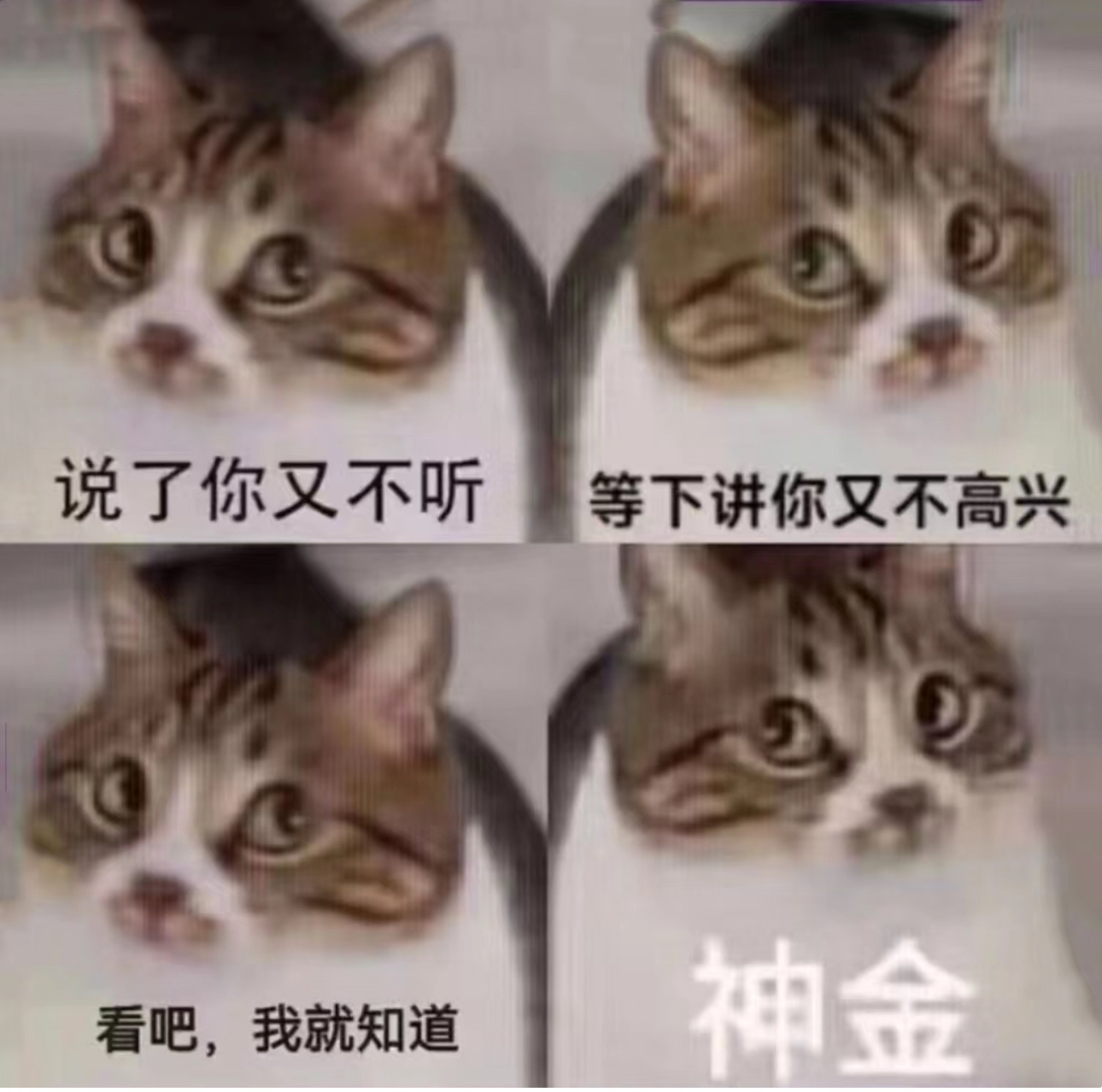 一想到一群人千辛万苦翻出去就为了跟一群西班牙人用中文解释“肖湿疹对着女同学掏裆是