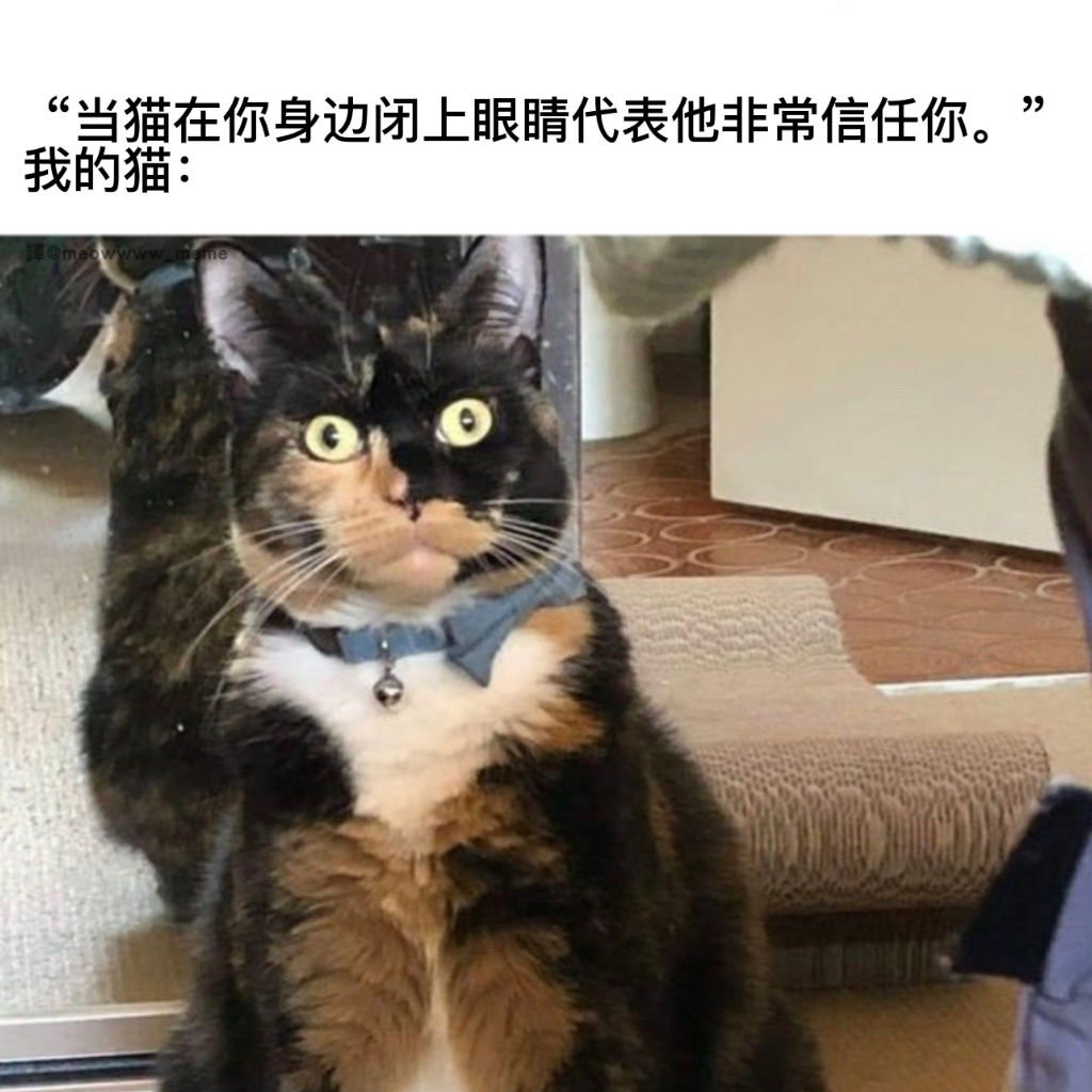 什么意思#今日memes# ​​​
